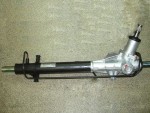 steer