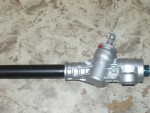 steer