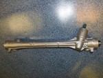 steer